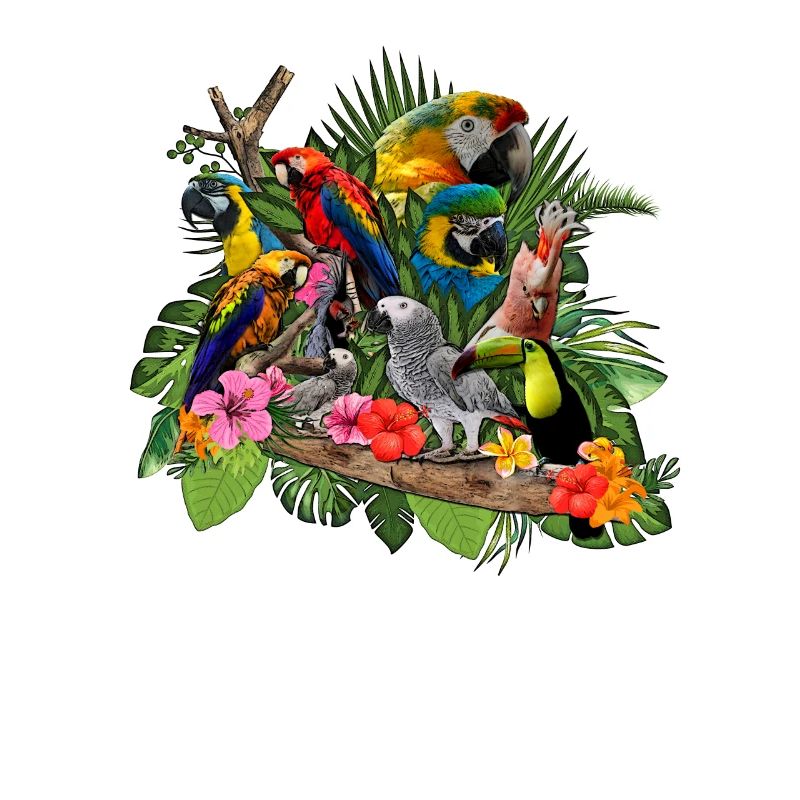 Parrots Grey Parrot Cockatoo