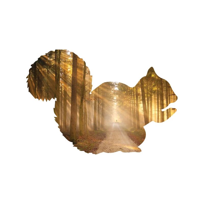Eichhörnchen Wald