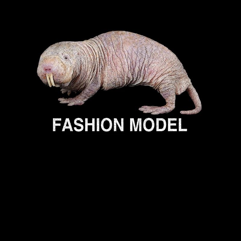 Nude mole mole animal