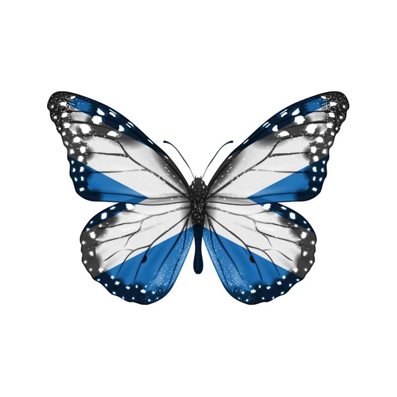 Drapeau papillon de l'ecosse