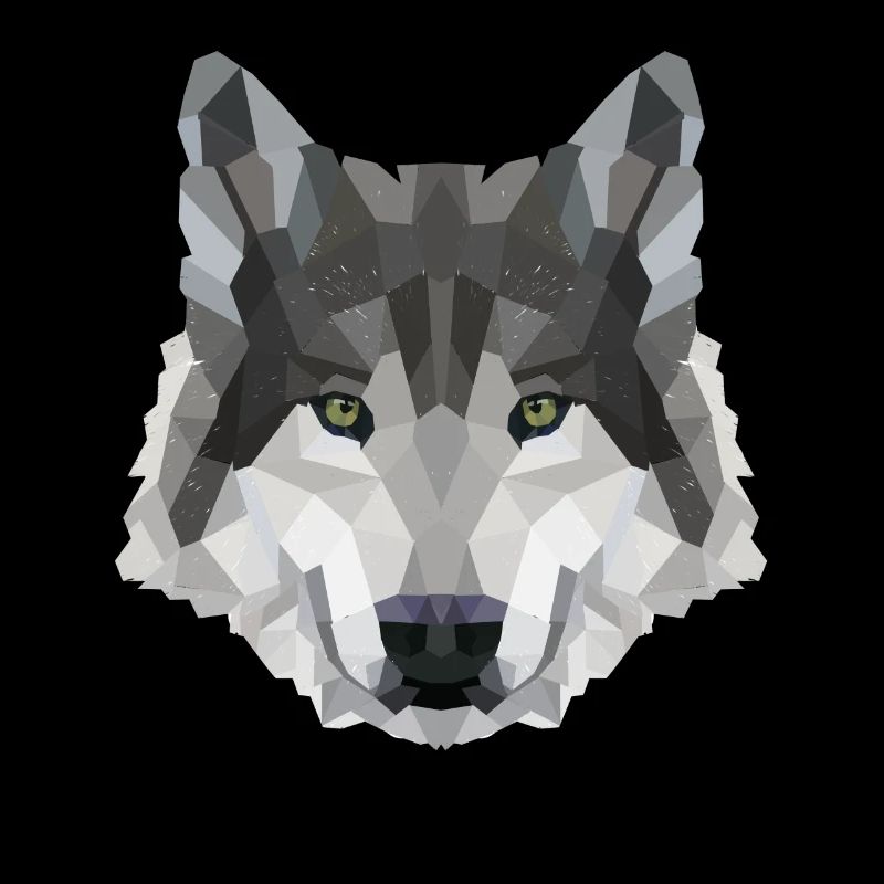POLYGONE LOUPS LOUPS HUSKY PACK PACK CHIEN PACK PACK