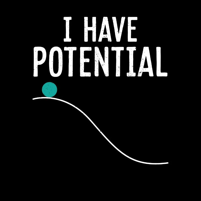 Physics Physicist Potential Teacher Funny Gift