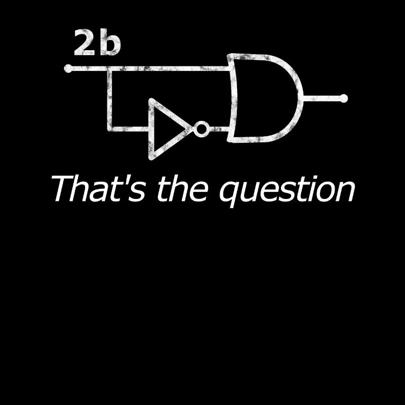 2b or not 2b Circuit - computer scientist programmer