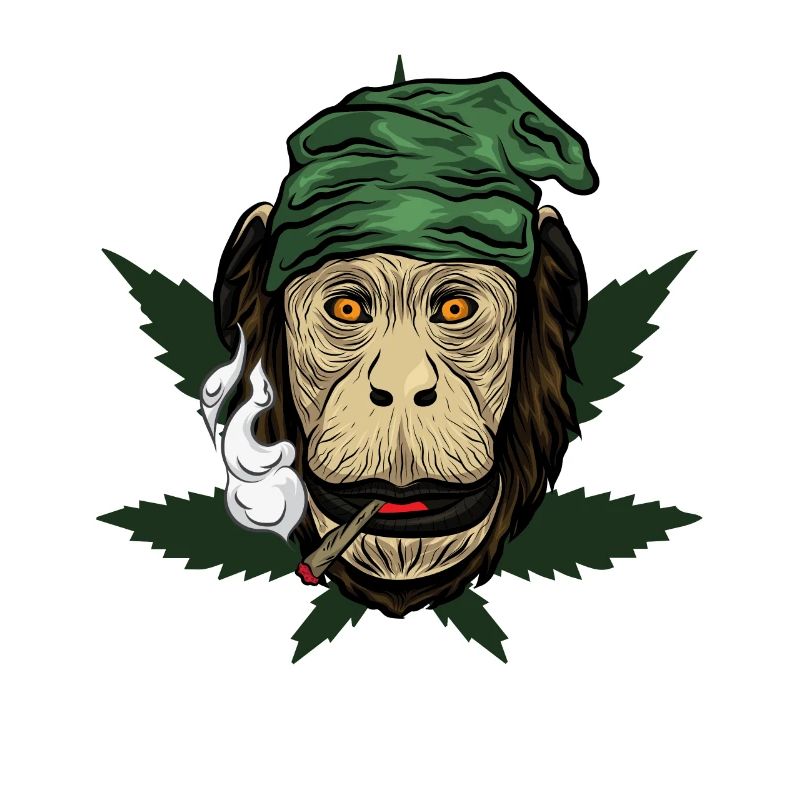 Kiffender Affe Mit Joint