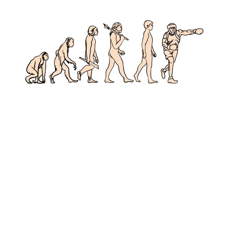 Boxe Evolution Boxe du singe au boxeur
