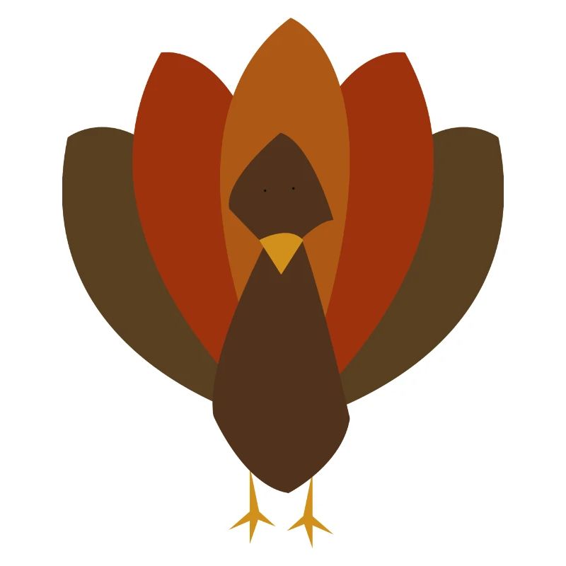 Conception de la dinde