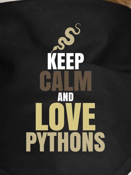 Python