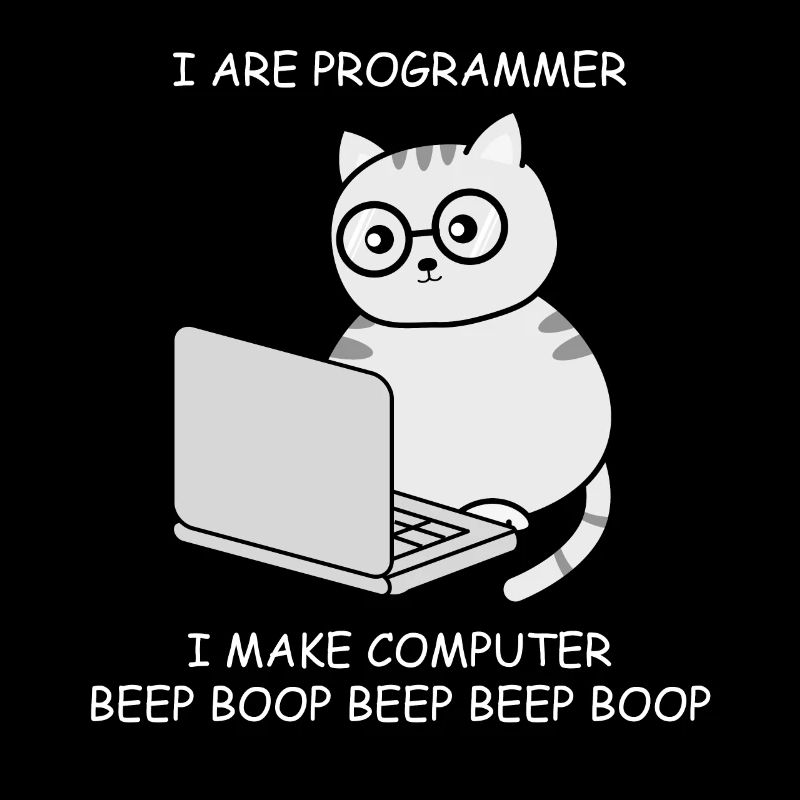 Informatiker Informatik Programmieren Ingenieur