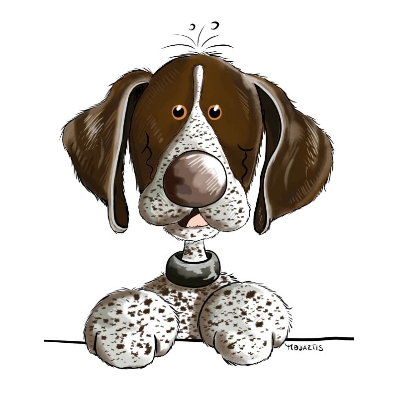 German Shorthaired Pointer