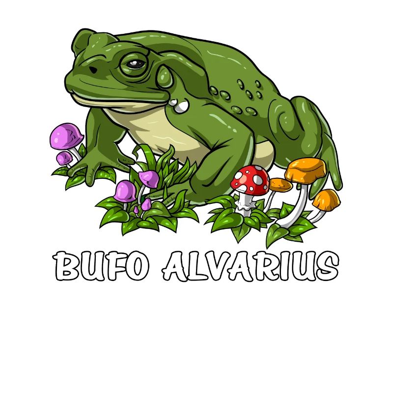 Bufo Alvarius Toad