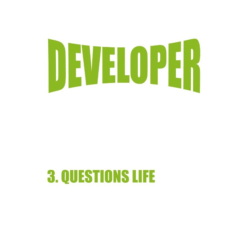 software developer