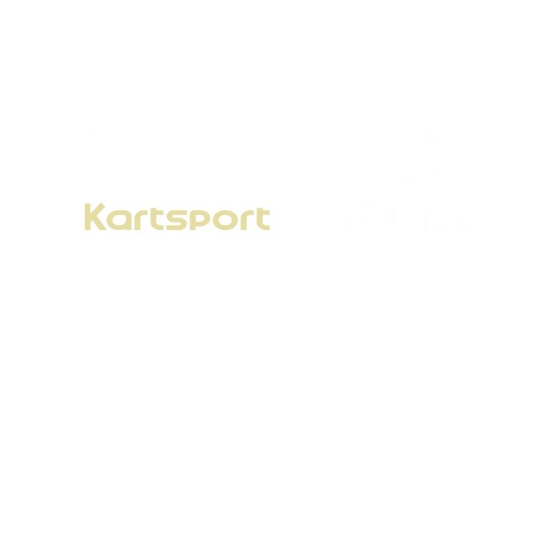 Go-Kart Evolution