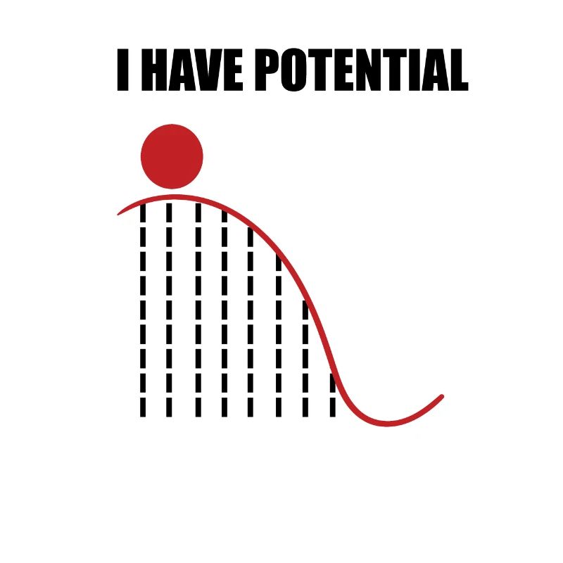 Physics nerd pun math potential gifts