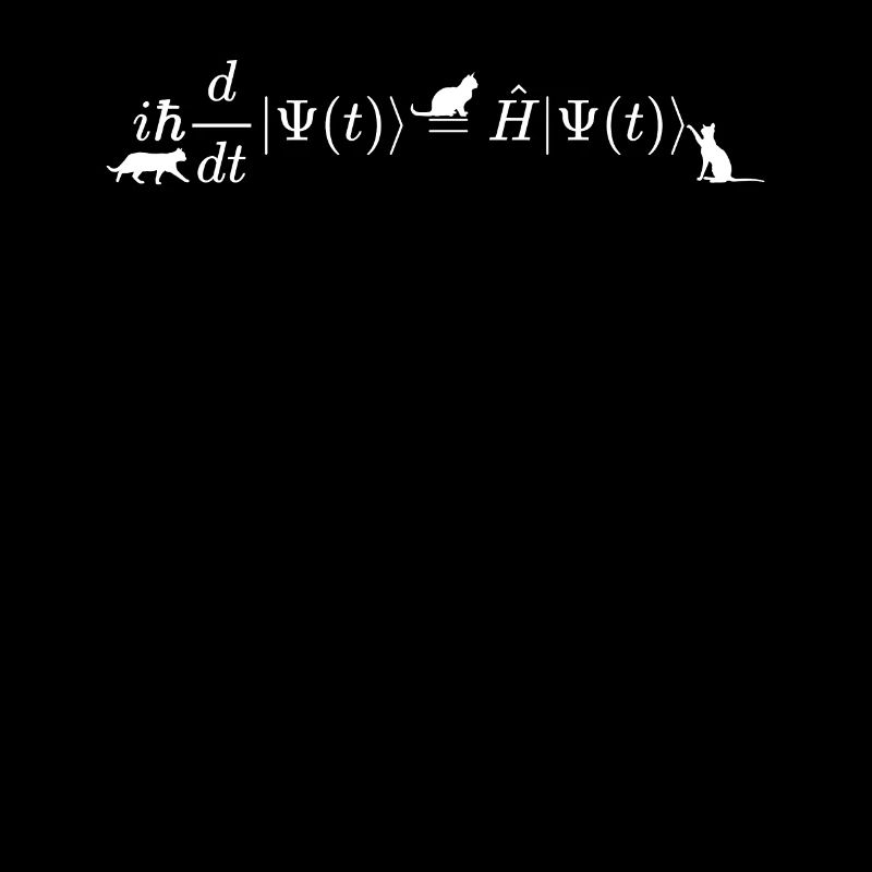 Schrodinger cats math and physics formula equation