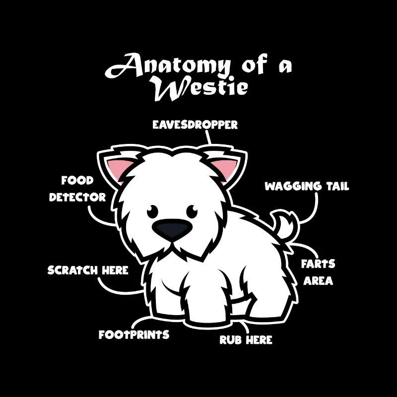 Anatomie d'un terrier blanc des Highlands de l'Ouest