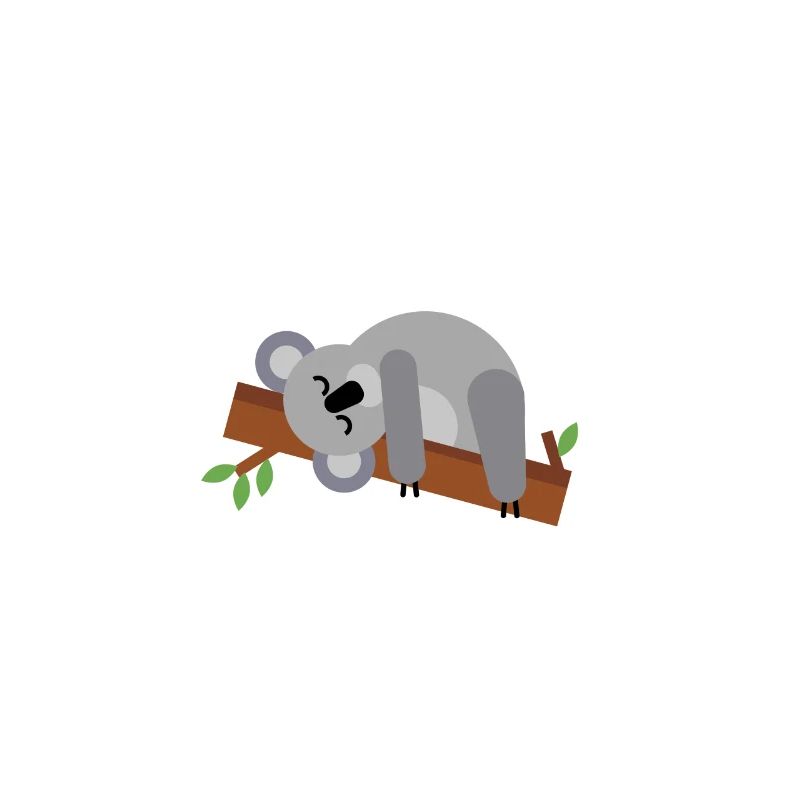 Koala Eucalyptus