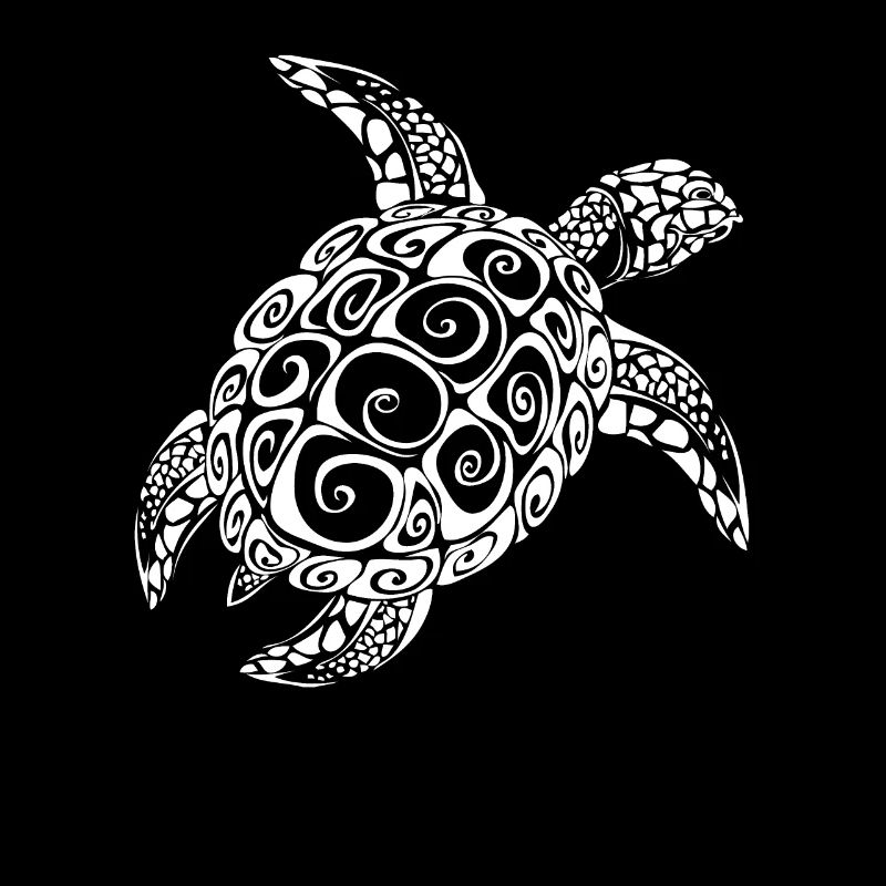 Turtle gift