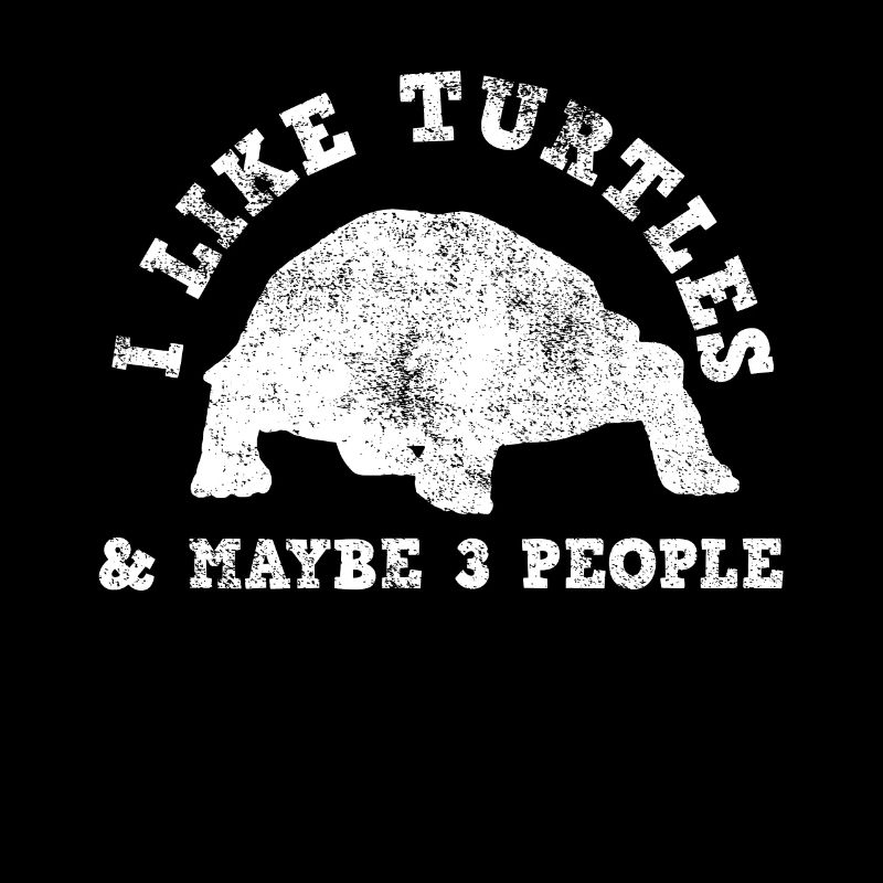 Turtle water turtle