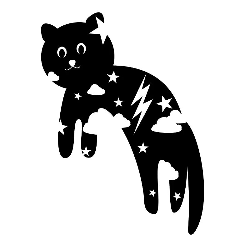 Black kitten and at night