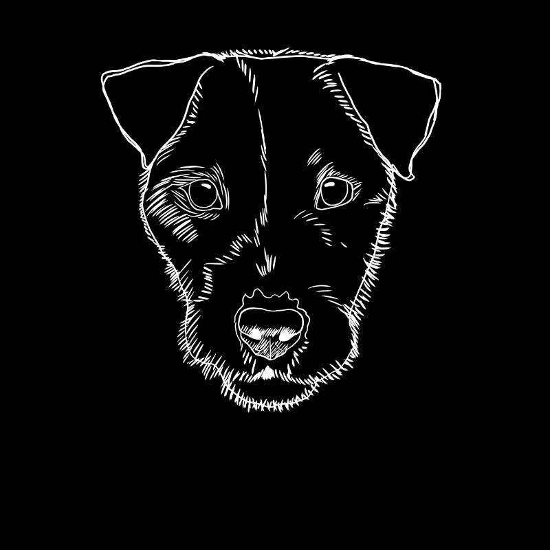 Parson Russel Terrier chien