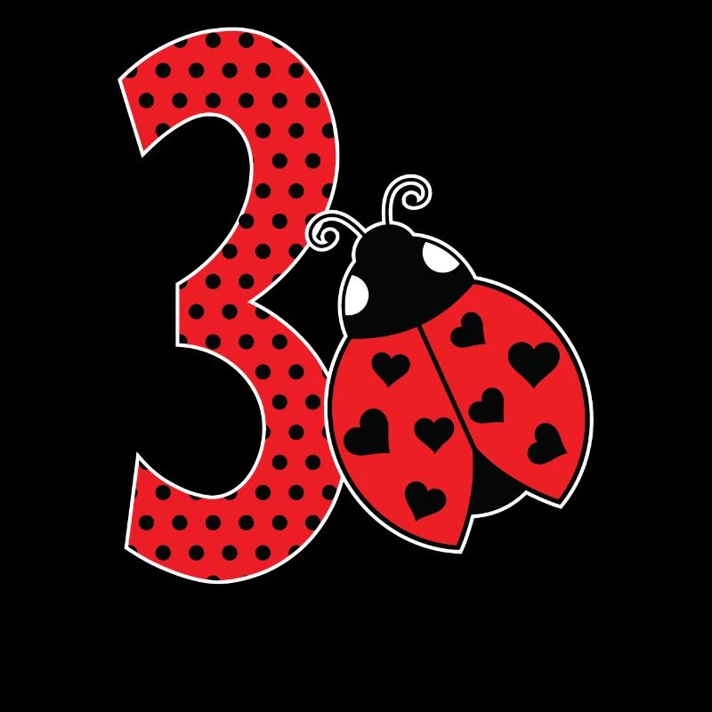 Ladybug 3rd birthday 3rd wedding anniversary gift