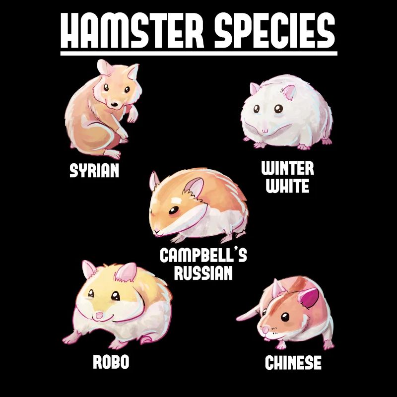 Espèces de hamsters