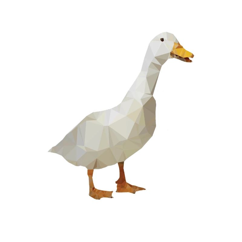 Goose - polygon / triangle