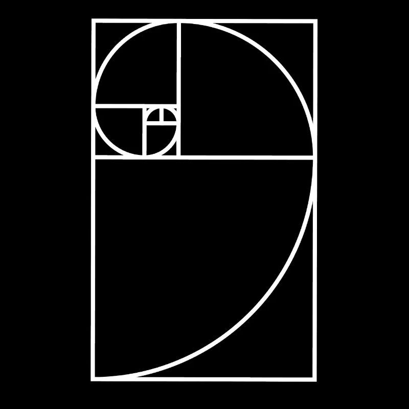 Fibonacci snail