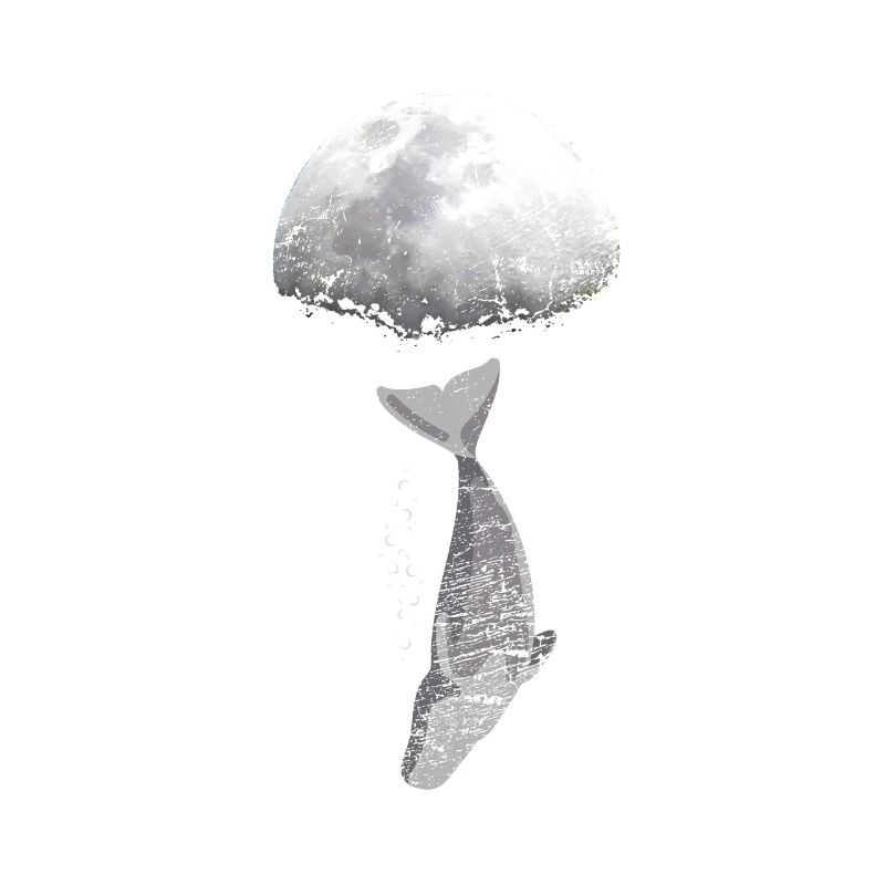 Wal Blauwal Pottwal Evolution