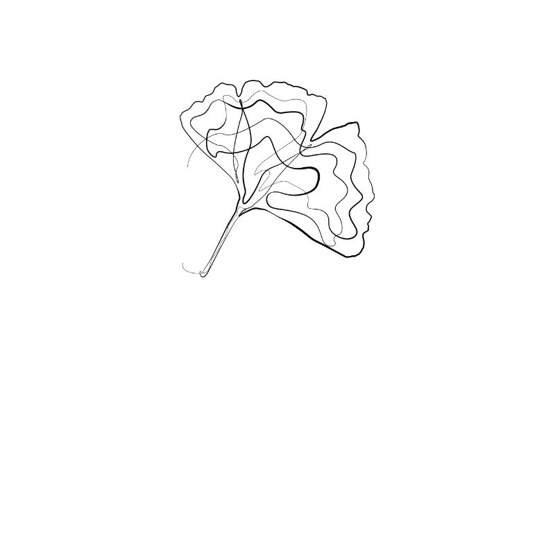 Gingko tree leaf - one line drawing