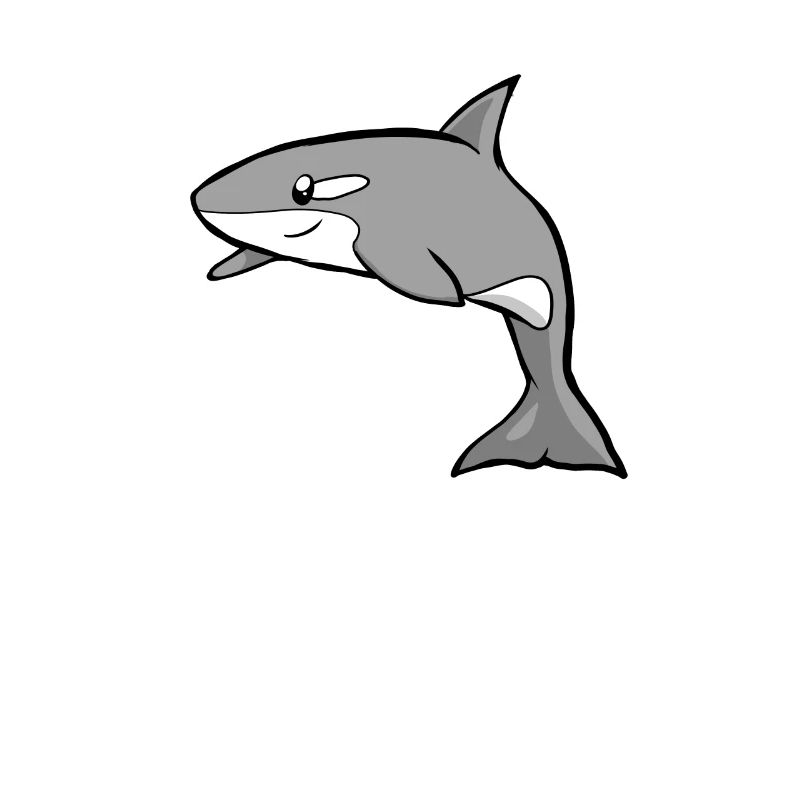 Orca Wal Geschenk I Schwertwal Killerwal