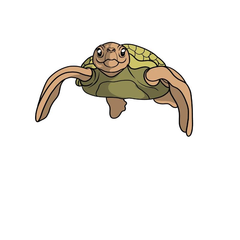 Turtle gift I sea turtle