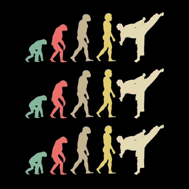 Karate Evolution - Taekwondo