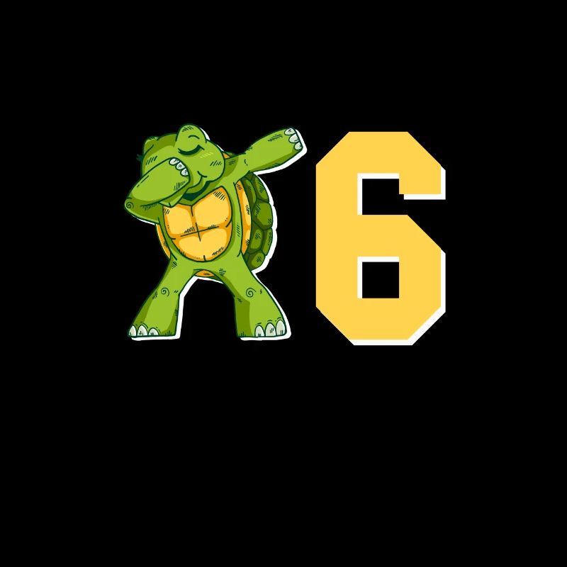 6th birthday turtle | gift