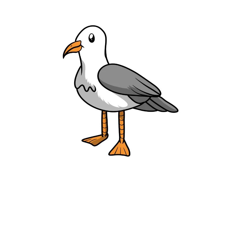Möwe Seemöwe