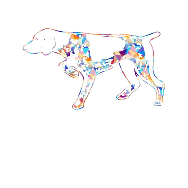 German Shorthaired Pointer