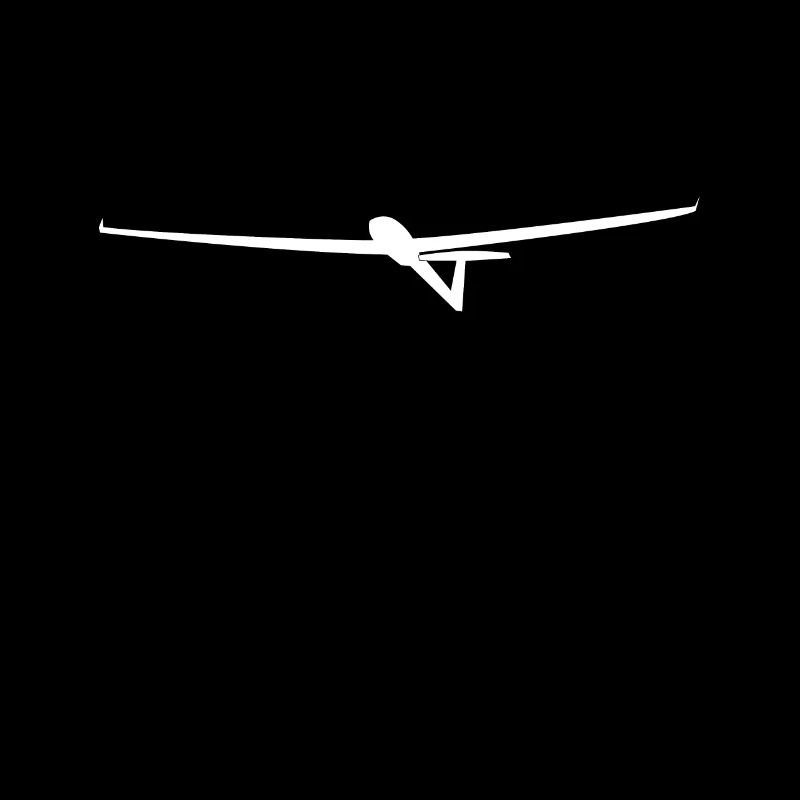 Glider gliding glider pilot pilot