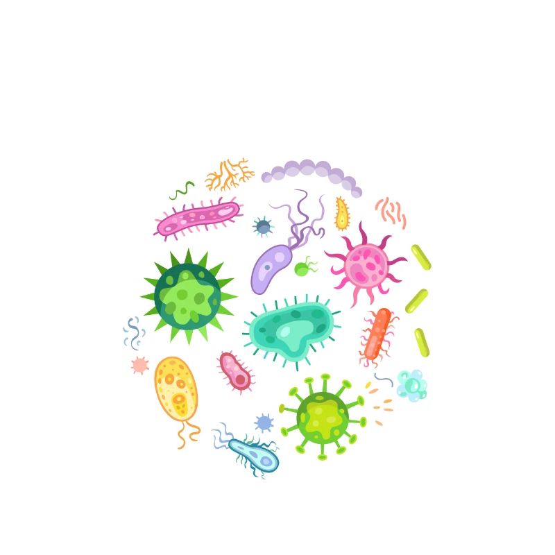 Microscope de bactéries microbiologie scientifique
