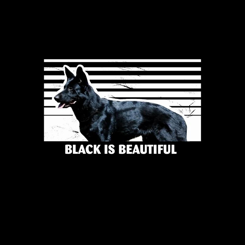 Black German Shepherd