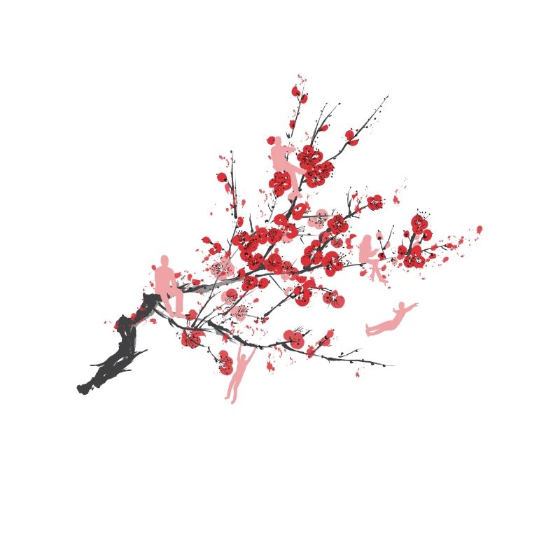 Cherry blossoms spring summer nature