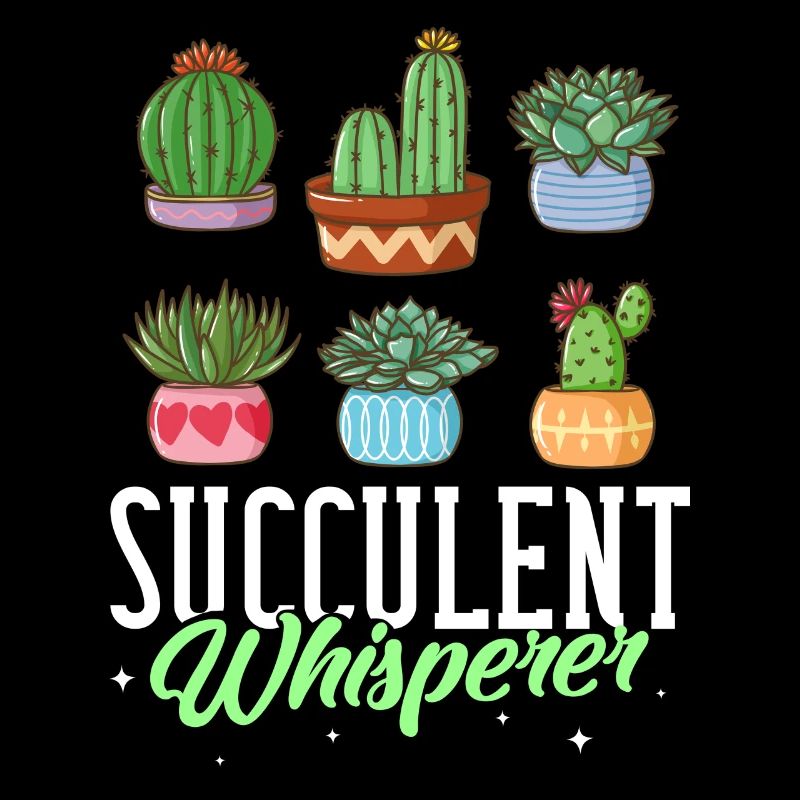 Cactus succulentes cactus Aloe Vera Agave
