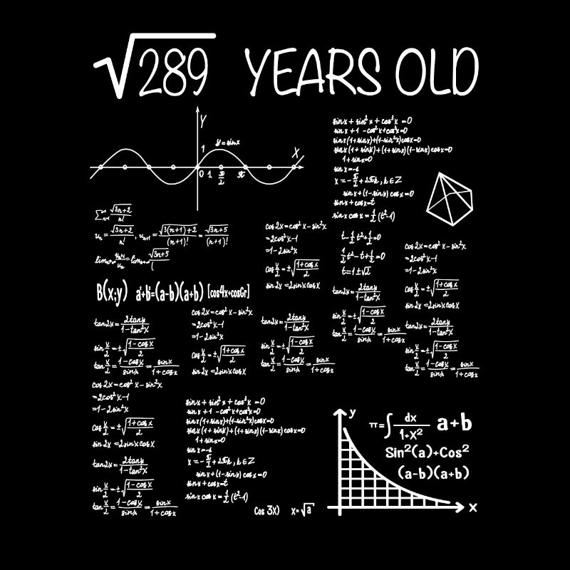 17ème anniversaire de maths cadeau