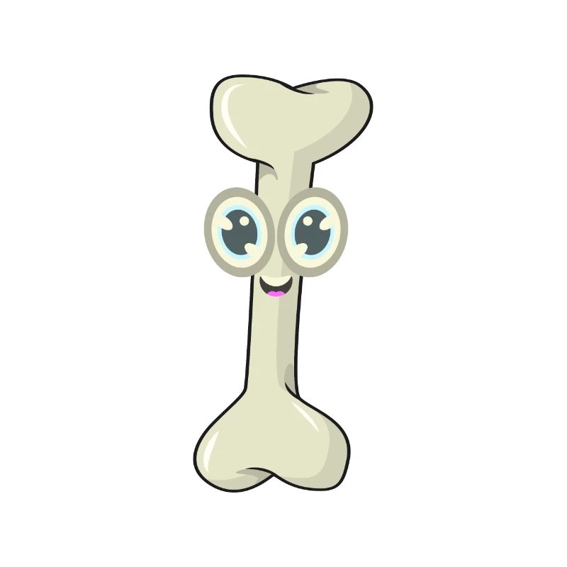 Bone chewing bone