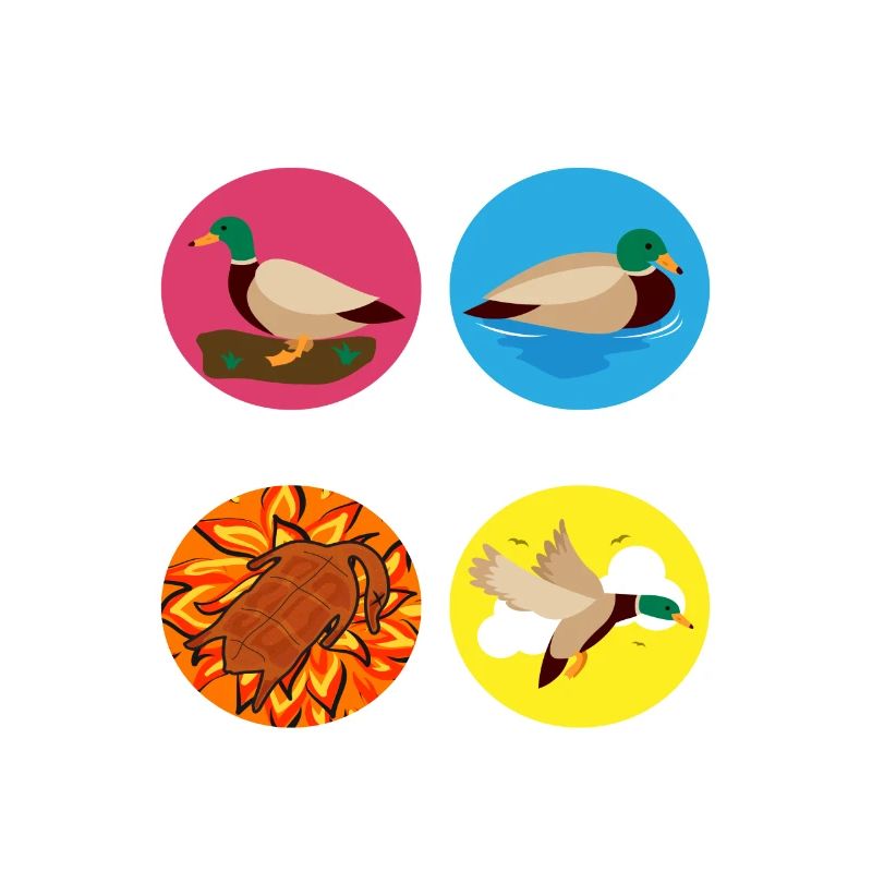 Les 4 Canard ElemENTE Canard Feu Eau