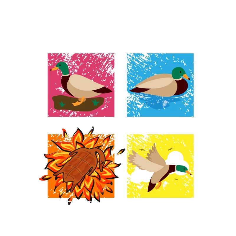 Les 4 Canard ElemENTE Canard Feu Eau