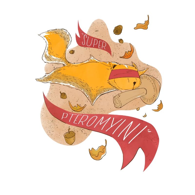 Fliegendes Eichhörnchen Gleithörnchen Flughörnchen