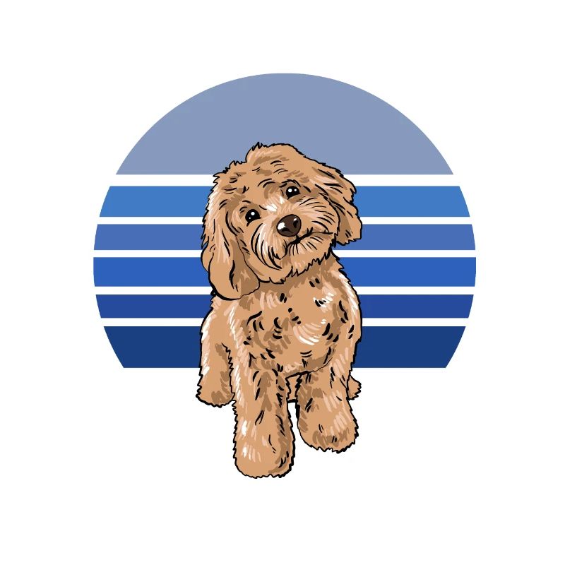 Cockapoo Blau Retro