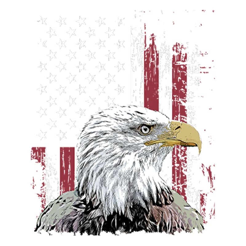 Independence Eagle American Flag Eagle