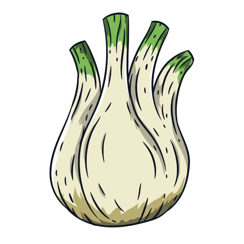 fennel