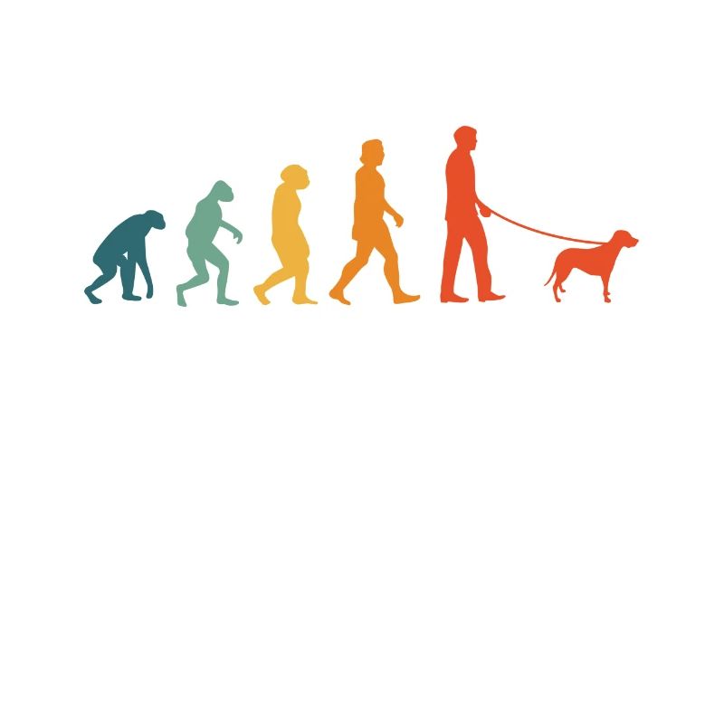 Brandlbracke Evolution Retro Bracke Chien